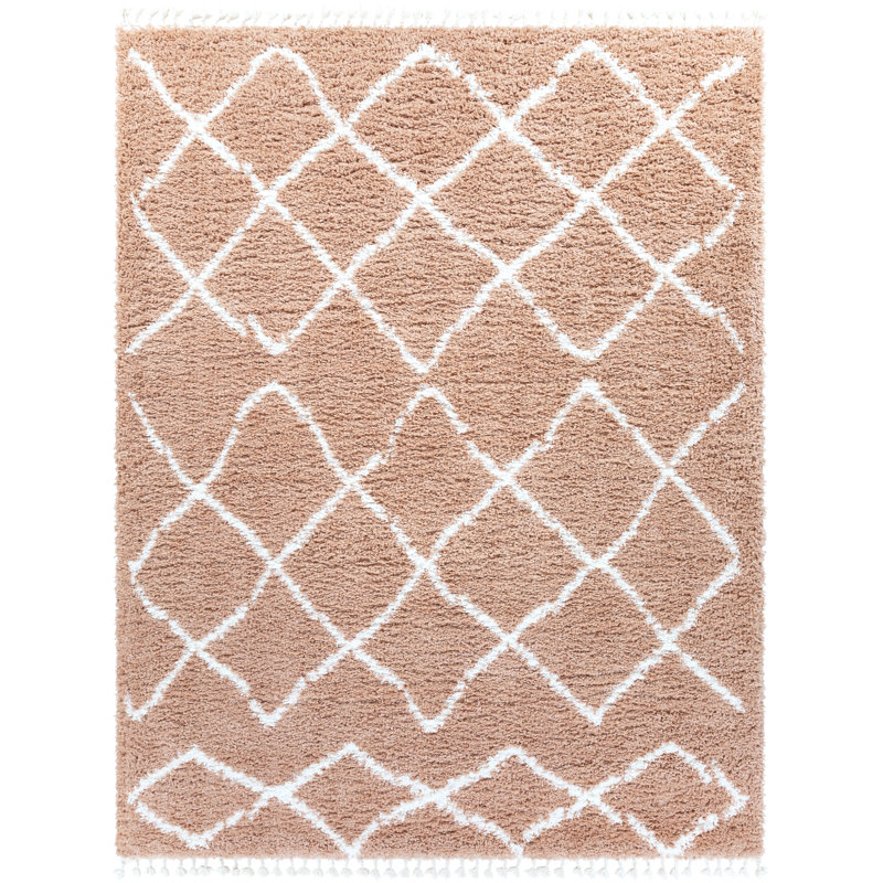 Gracie Oaks Beahm Geometric Shag Pale Pink Area Rug Wayfair